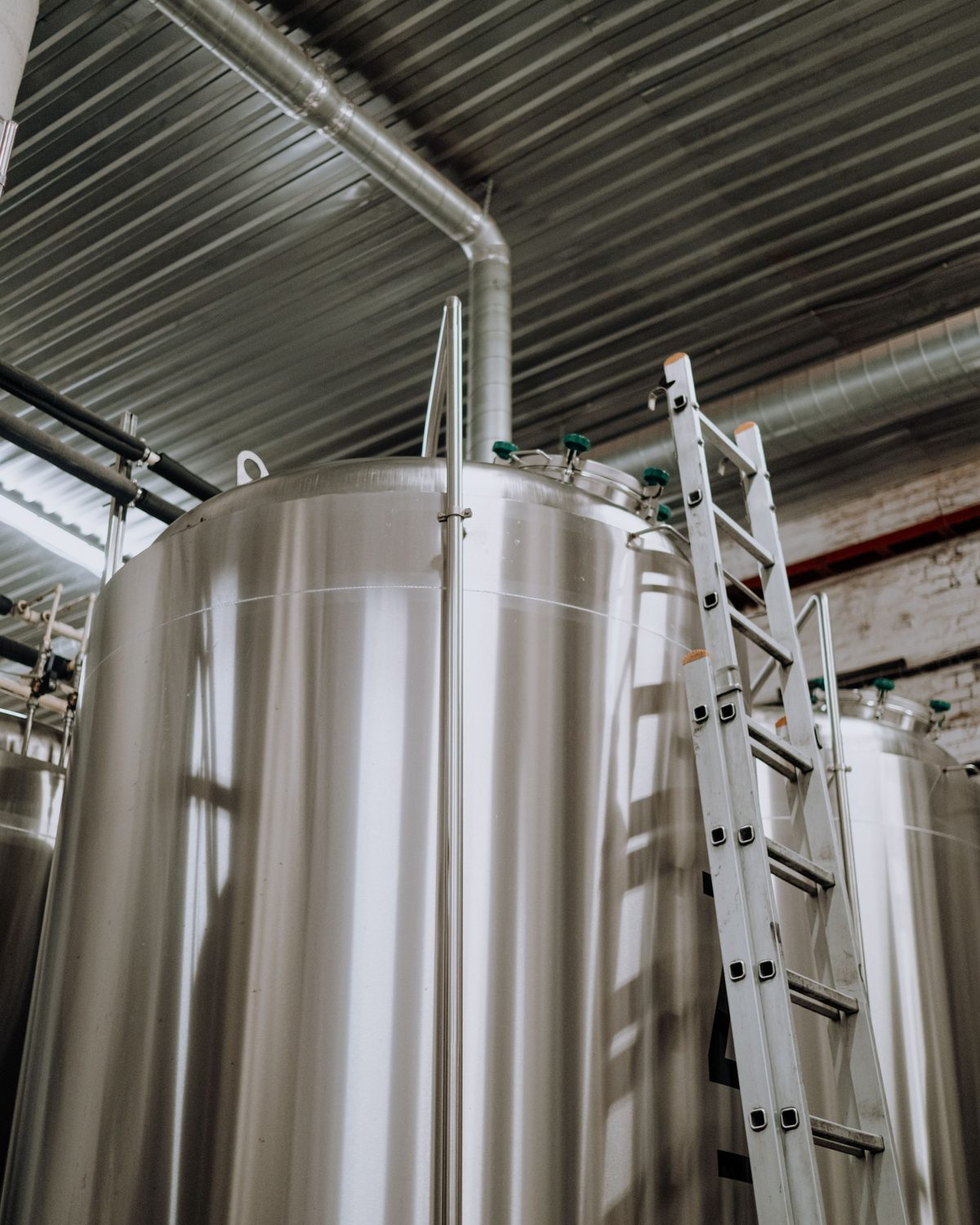 Tall stainless steel mixing tanks in a production facility, with an aluminium ladder resting against one tank.